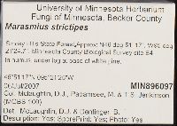 thumbnail image of current specimen