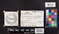 thumbnail image of current specimen