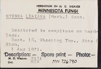 Mycena leaiana image