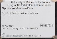 Mycena smithiana image