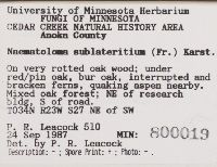 Hypholoma lateritium image