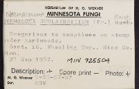 Hypholoma lateritium image