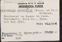 Panaeolina foenisecii image