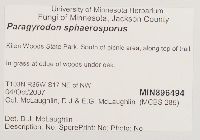 Paragyrodon sphaerosporus image