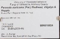 Parasola auricoma image