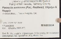 Parasola auricoma image