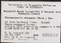 Perenniporia ohiensis image