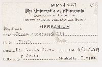 Phellinus conchatus image