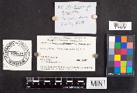 Media resource of Phellinus tremulae