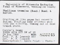 Phellinus tremulae image