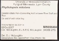 thumbnail image of current specimen