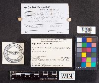 thumbnail image of current specimen