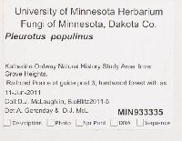 thumbnail image of current specimen