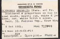 thumbnail image of current specimen