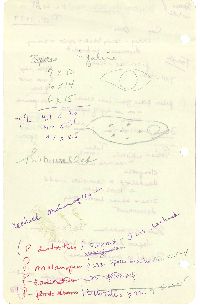 Polyporus craterellus image