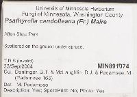 thumbnail image of current specimen