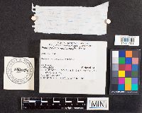 thumbnail image of current specimen