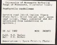 thumbnail image of current specimen