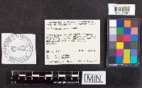 thumbnail image of current specimen