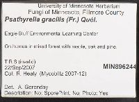 Thumbnail image of current specimen