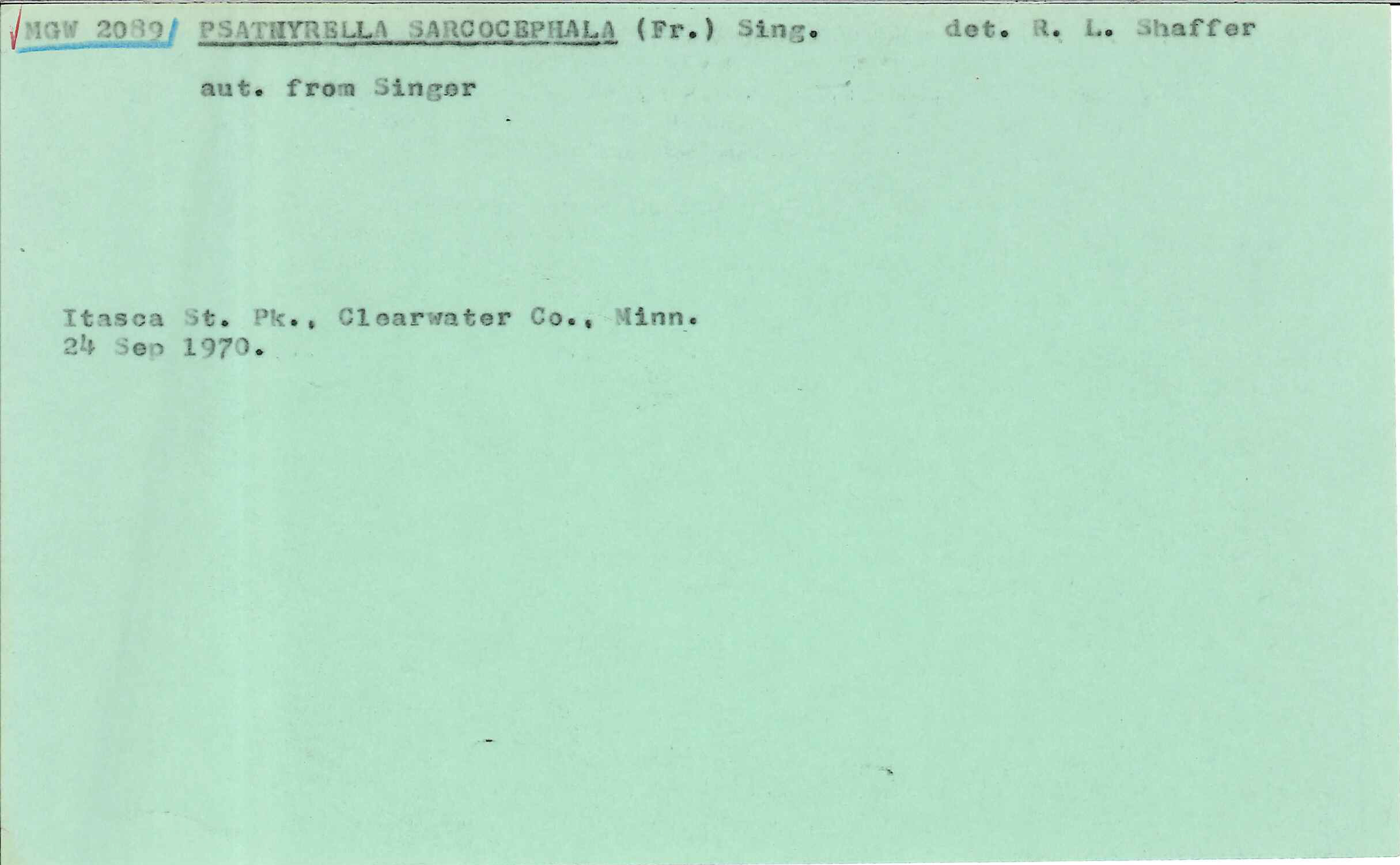 Psathyrella spadicea image