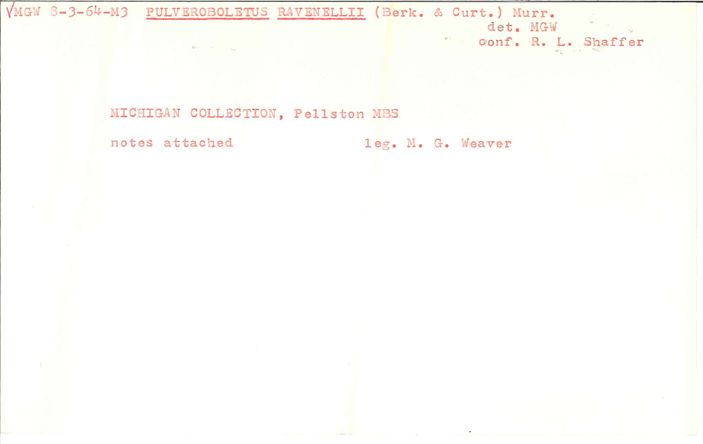 Pulveroboletus ravenelii image