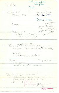 Aureoboletus auriporus image