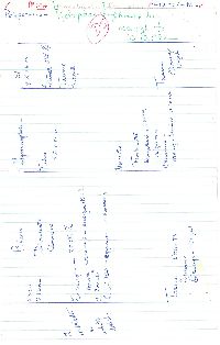 Pycnoporellus fulgens image