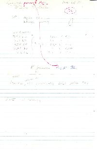 Ramaria formosa image