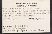 Ramariopsis kunzei image