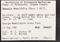 Russula densifolia image