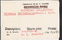 Russula densifolia image