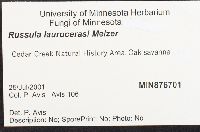 thumbnail image of current specimen