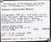 Image Associated With the Occurrence