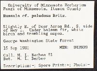 Russula paludosa image