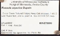 Russula seperina image