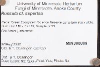 Russula seperina image