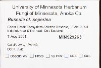 thumbnail image of current specimen