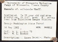 thumbnail image of current specimen