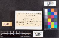 Image Associated With the Occurrence