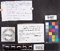 Media resource of Scleroderma michiganense