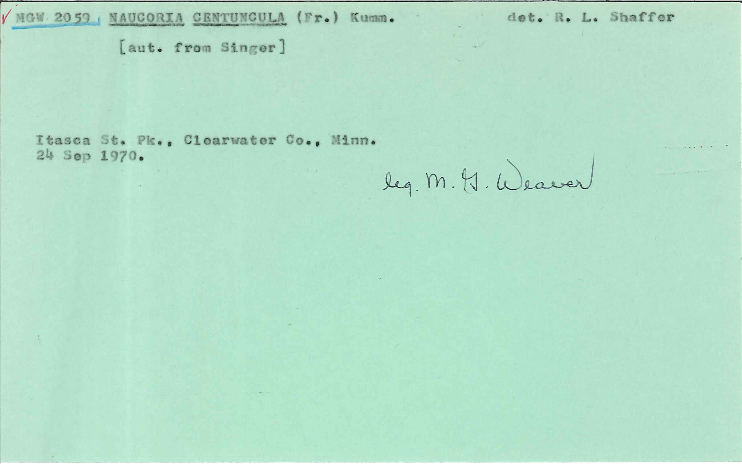 Simocybe centunculus image