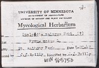 Diplodia malorum image