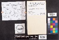 Media resource of Stereum rugosum