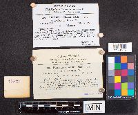 Media resource of Stereum striatum