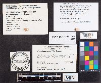 Media resource of Ascobolus geophilus