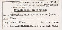 Apiosporina morbosa image