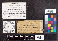 Media resource of Chlorosplenium aeruginosum