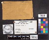 Media resource of Cryptosphaeria populina