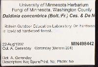 Daldinia concentrica image